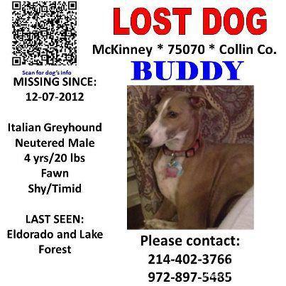 Lost Dog Tips: How to Find your Missing Dog